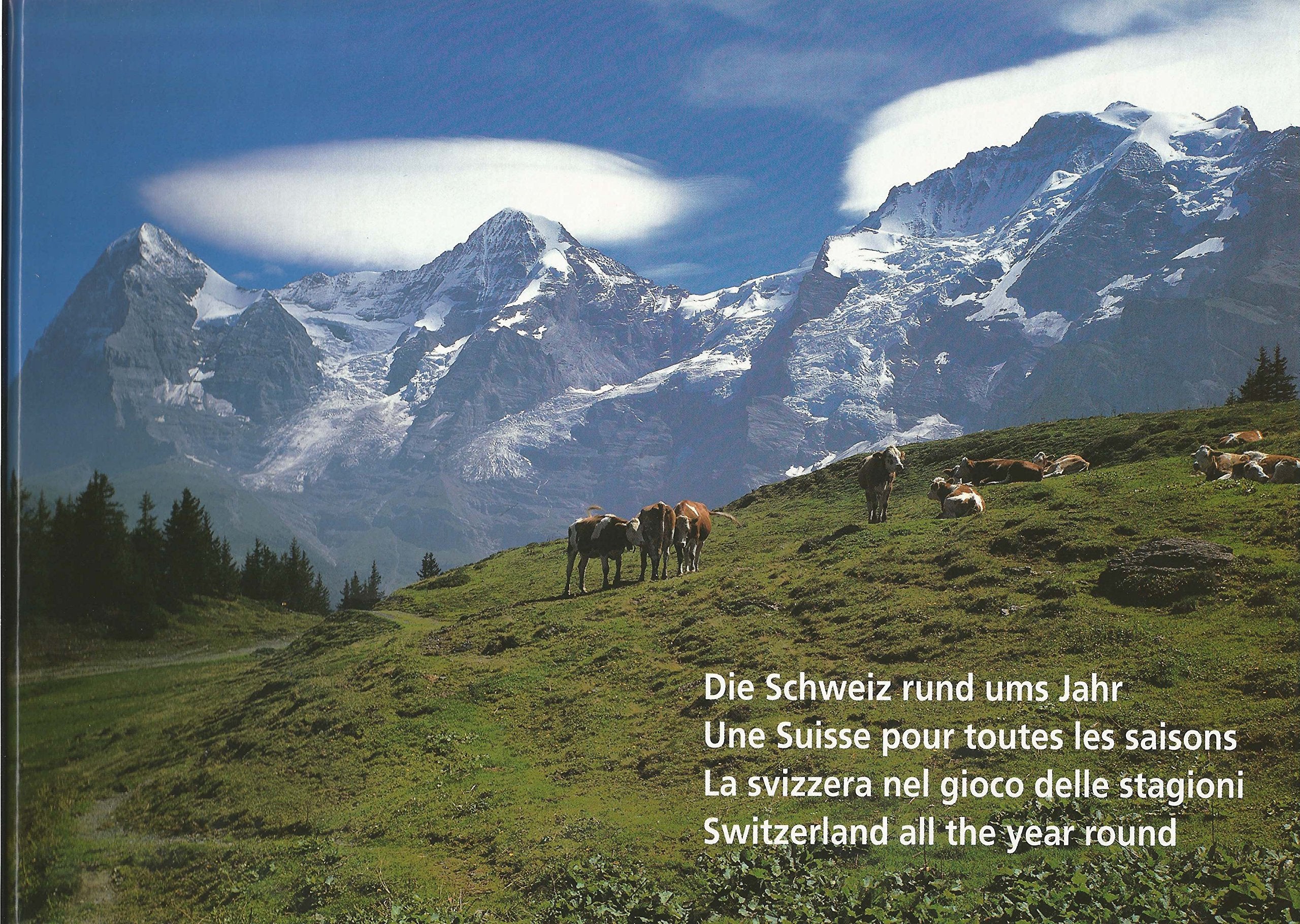 Die Schweiz rund ums jahr - Une Suisse pour toutes Books