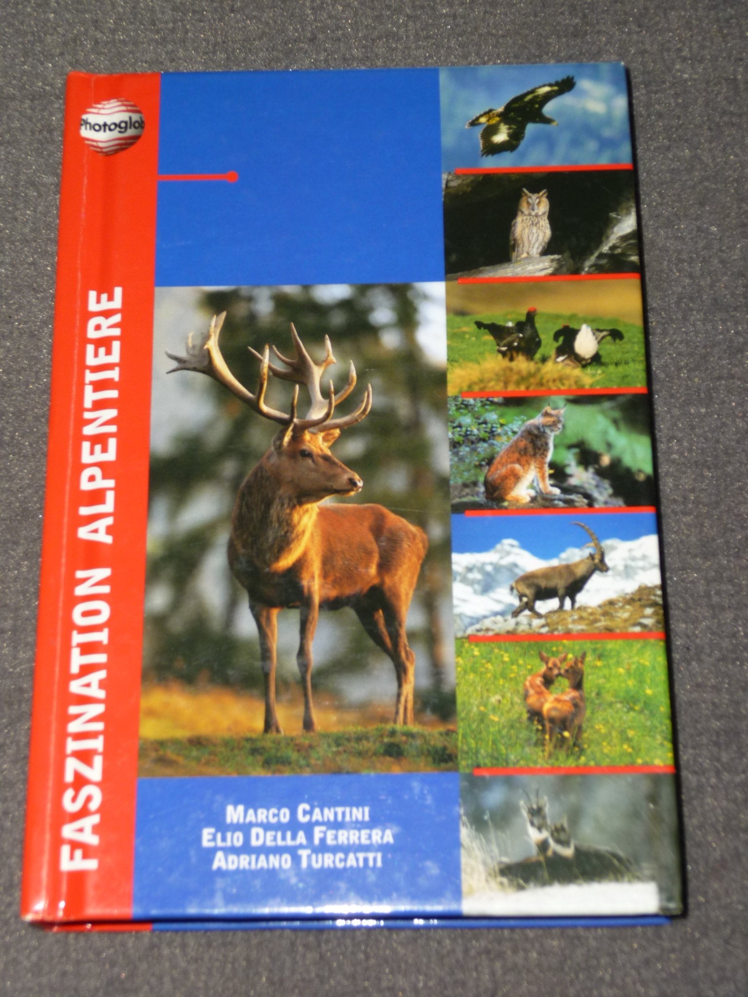 Faszination Alpentiere Books