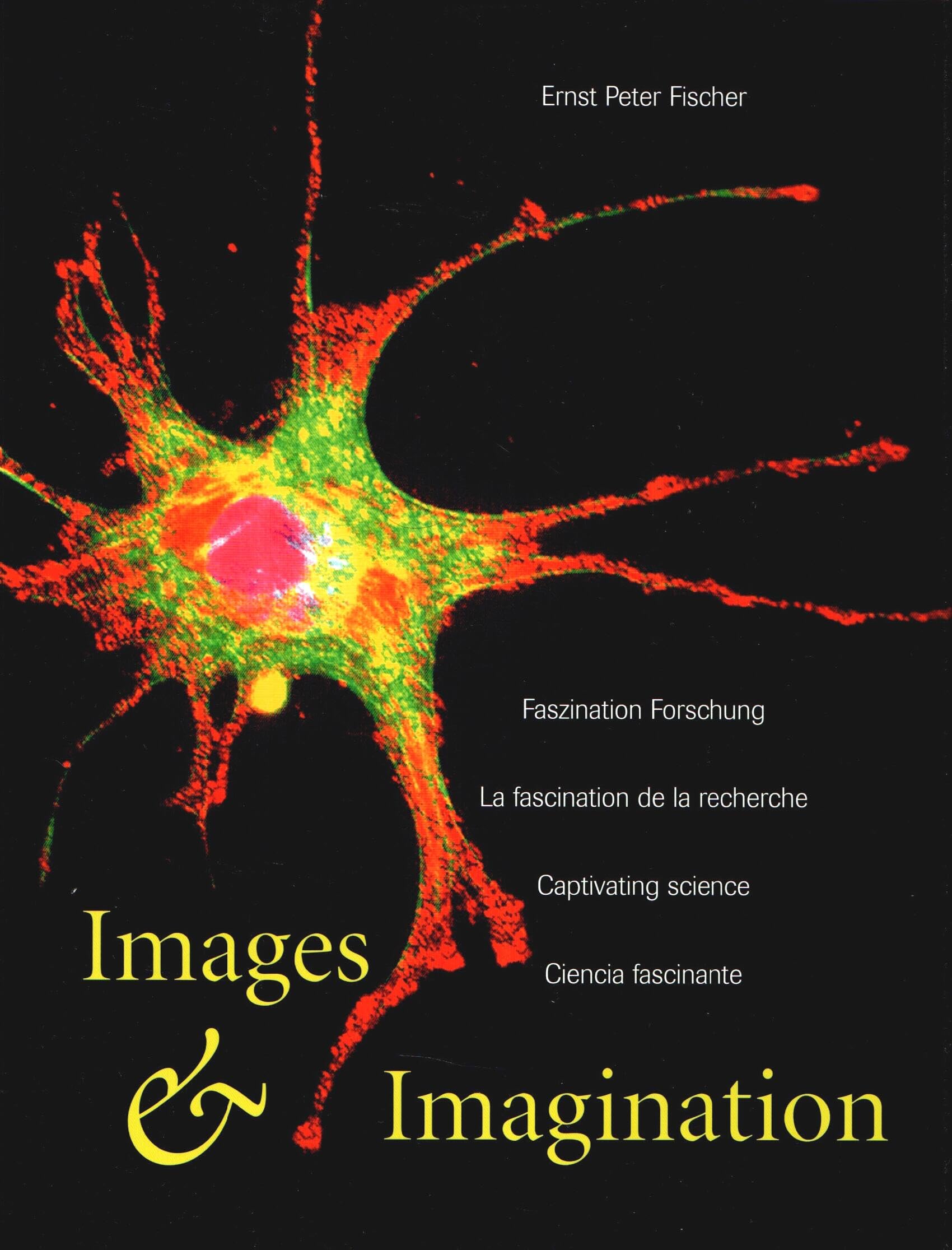 Images & Imagination: Faszination Forschung - La fascination de la recherche - Captivating science - Cienca fascinante. Dt. /Franz. /Engl. /Span. Film, Art & Culture