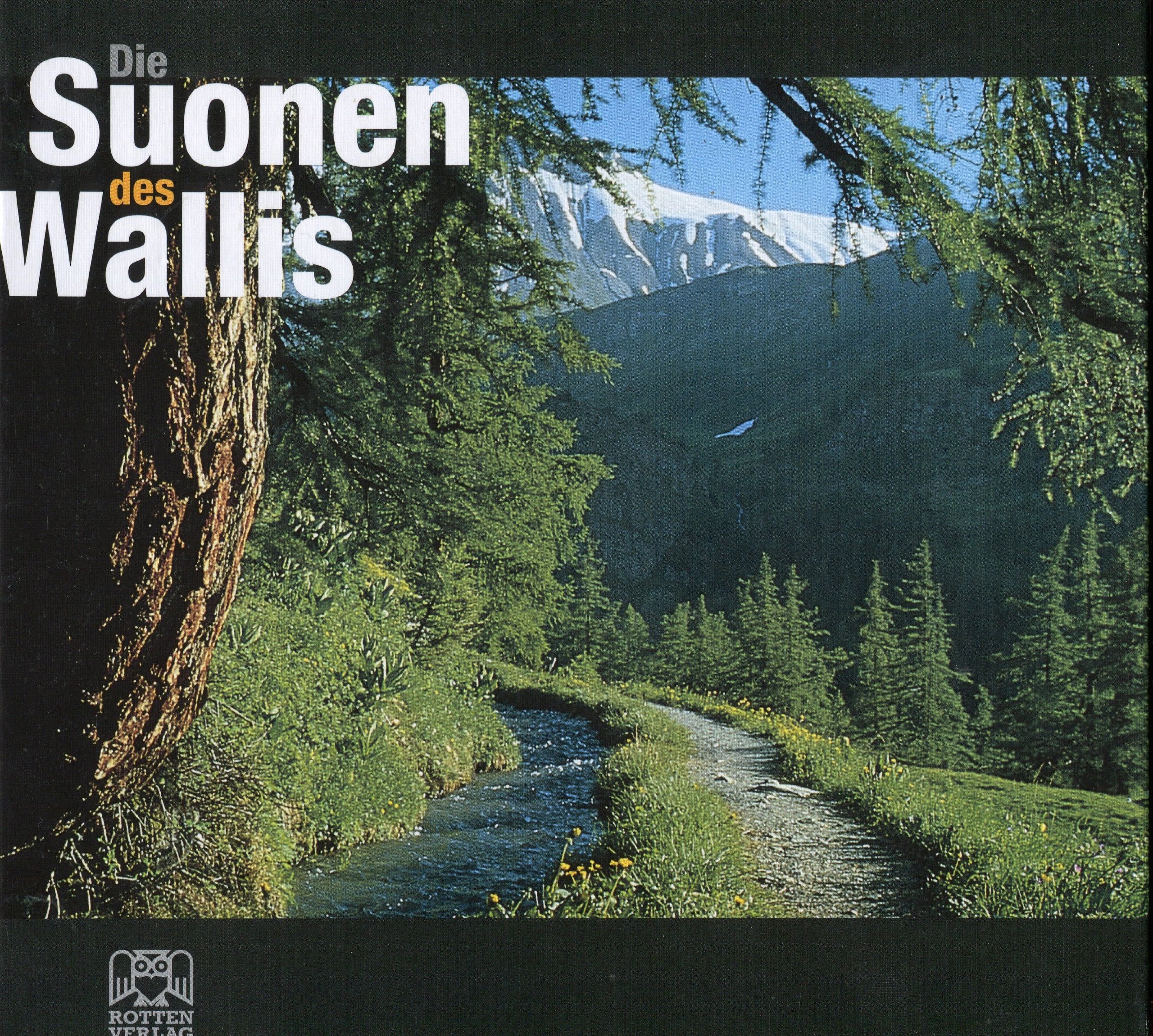 Die Suonen des Wallis Business & Technology