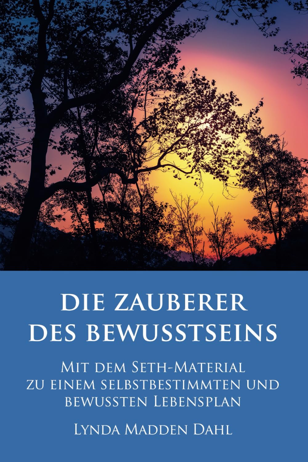 Die Zauberer des Bewusstseins Religion & Esotericism