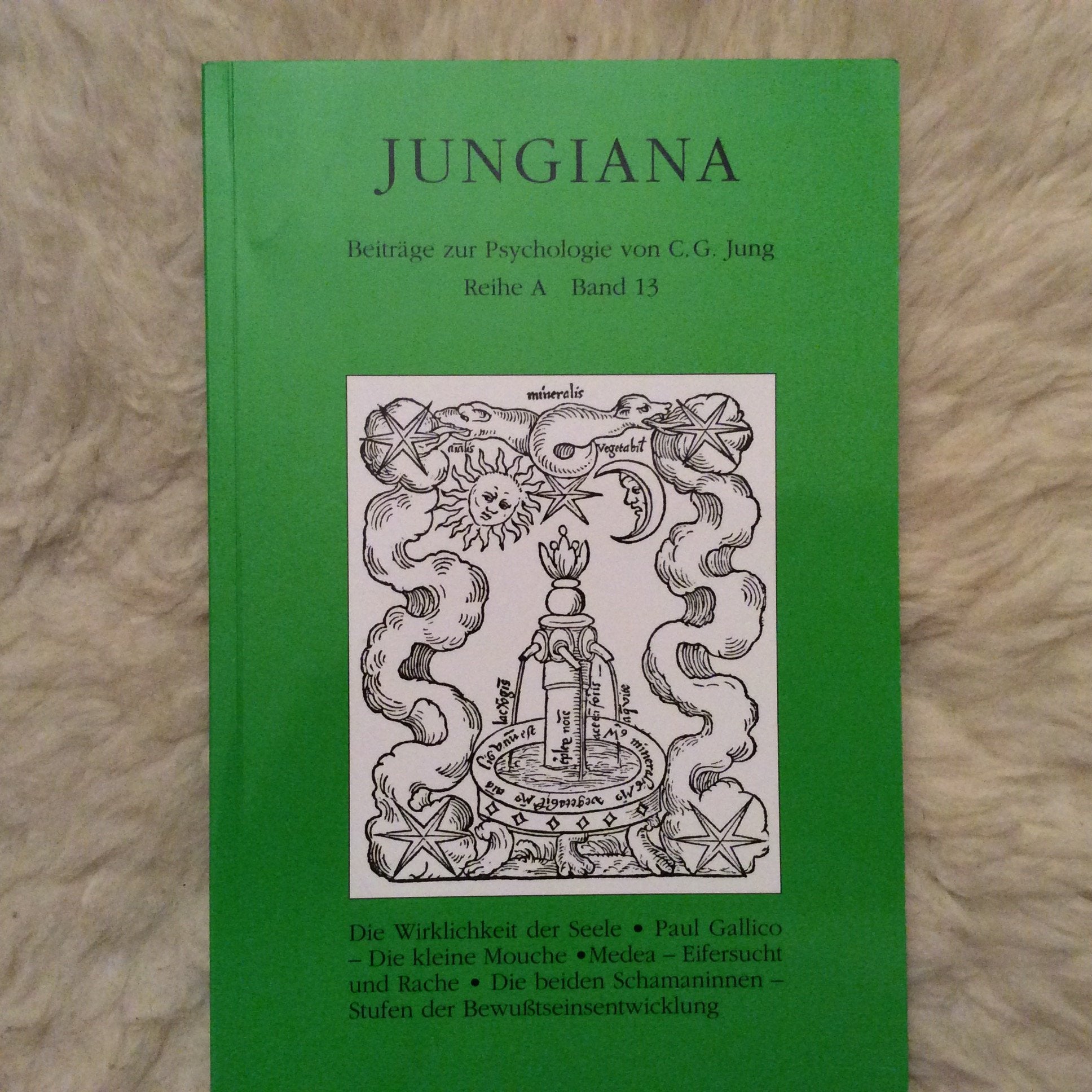 Jungiana / Jungiana Reihe A, Band 13: Beiträge zur Psychologie von C. G. Jung: BD 13 book