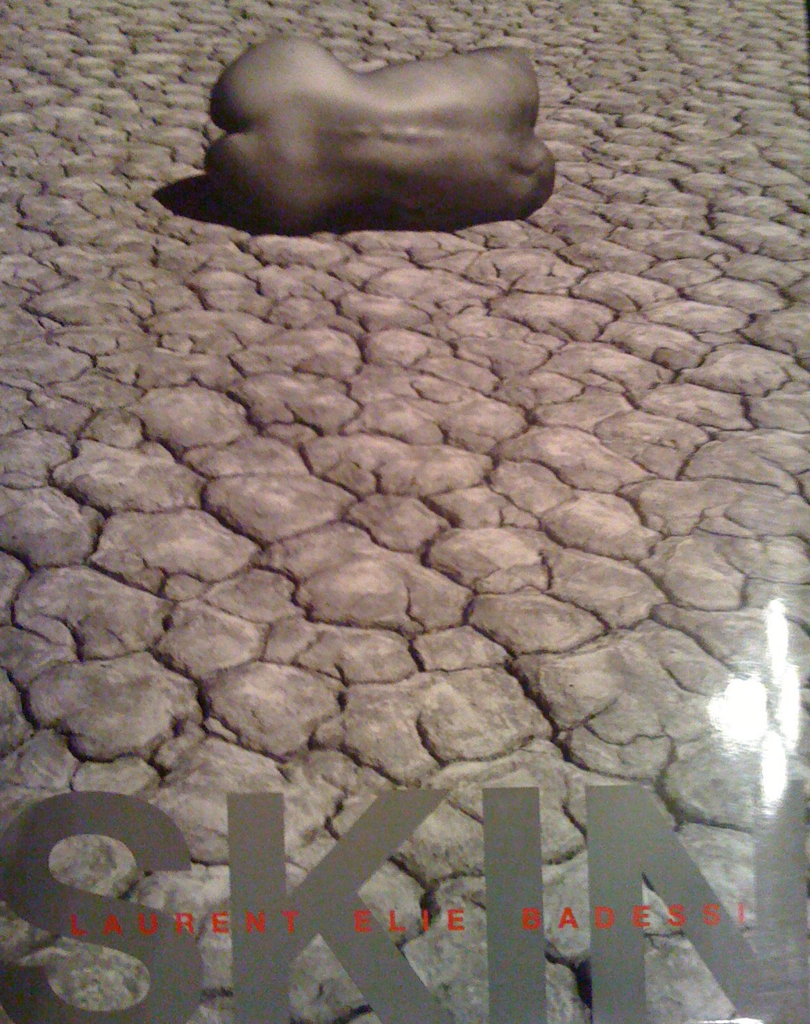 Skin. Englische Ausgabe. Photography
