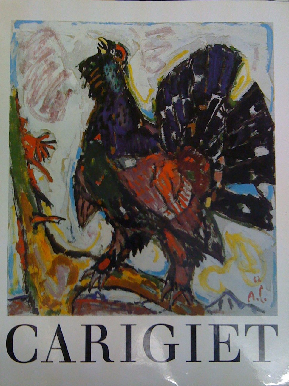 Alois Carigiet Hansjakob Diggelmann, Thererse Bhattcharya-Stettler, Hans ten Doornkaat Books