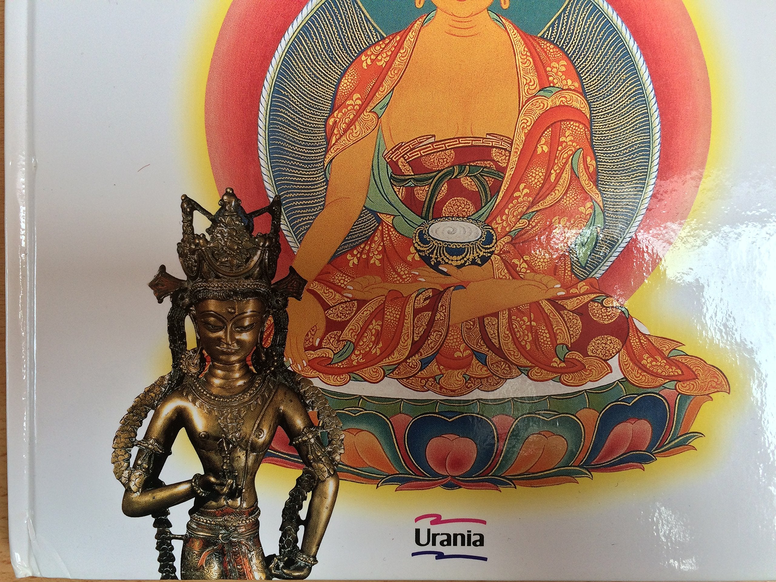 Die Welt des Buddhismus: Eine illustierte Einführung Books