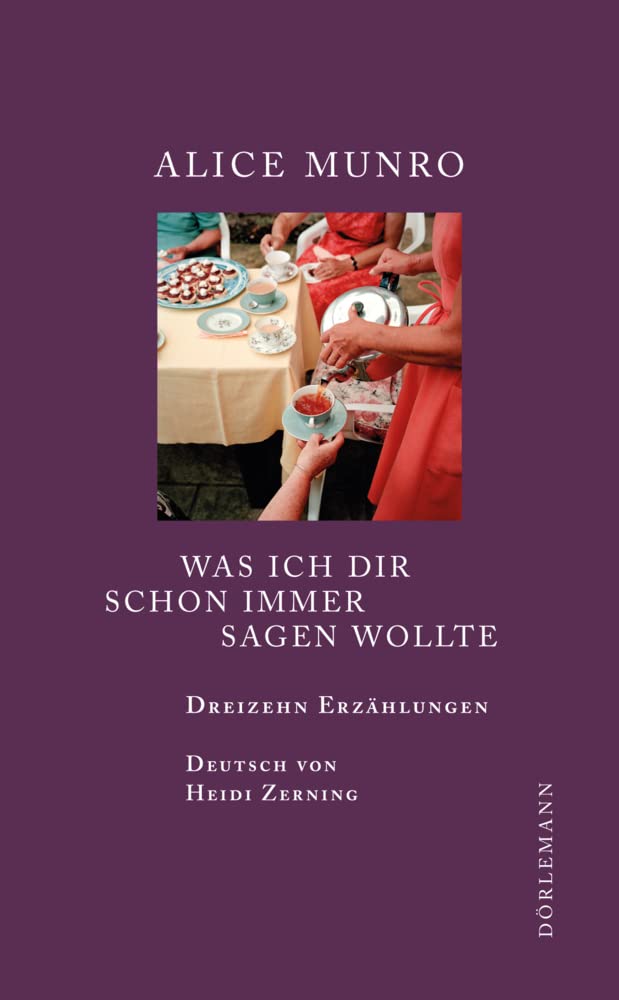 Was ich dir schon immer sagen wollte: Dreizehn Erzählungen Contemporary literature