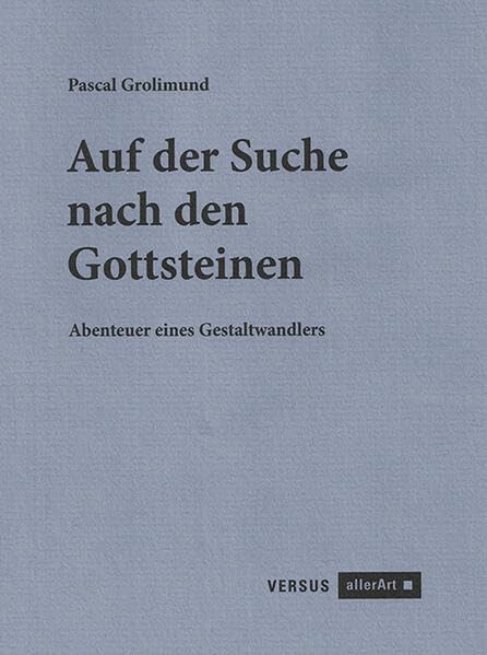 Auf der Suche nach den Gottsteinen: Abenteuer eines Gestaltwandlers (allerArt: Ein Imprint im Versus Verlag) Contemporary literature