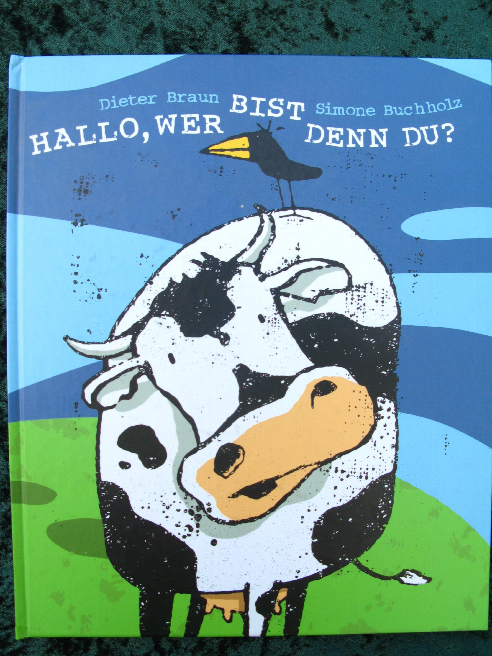 Hallo wer bist denn du? Books