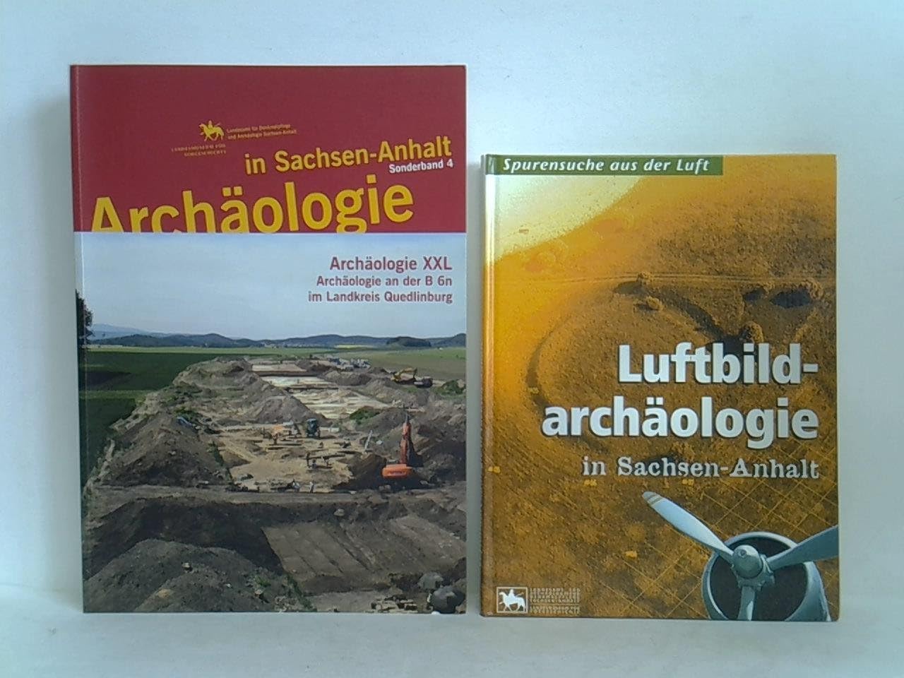 Archäologie in Sachsen-Anhalt / Archäologie XXL: Archäologie an der B6n im Landkreis Quedlinburg Natural Sciences