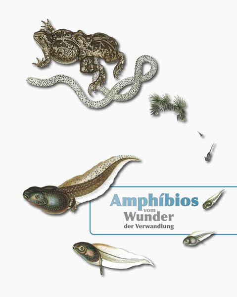 Amphibios - Vom Wunder der Verwandlung: Ausstellungskatalog (Ausstellungskataloge: Begleitkataloge zu den Sonderausstellungen des Museums der Westlausitz Kamenz) Natural Sciences