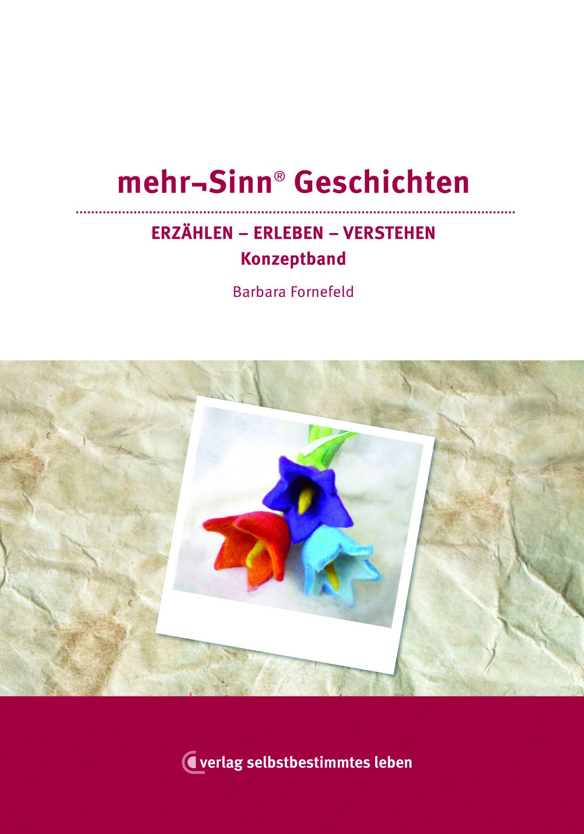 mehr¬Sinn® Geschichten: ERZÄHLEN - ERLEBEN - VERSTEHEN Der Konzeptband Essays & Short Stories