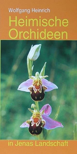 Heimische Orchideen in Jenas Landschaft Garden & Plants