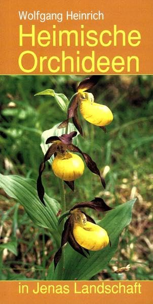 Heimische Orchideen in Jenas Landschaft Leisure, Home & Garden