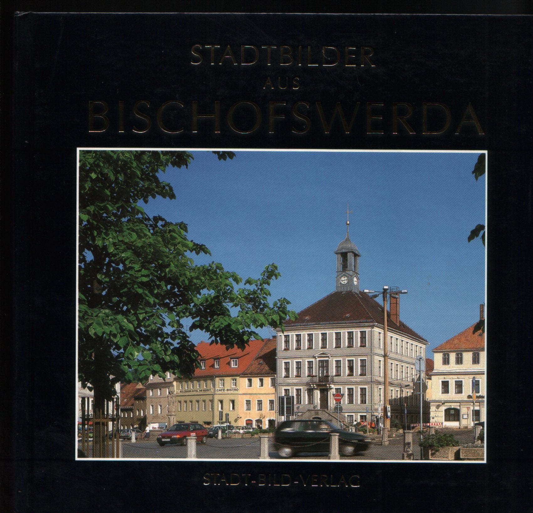 Stadtbilder aus Bischofswerder Books