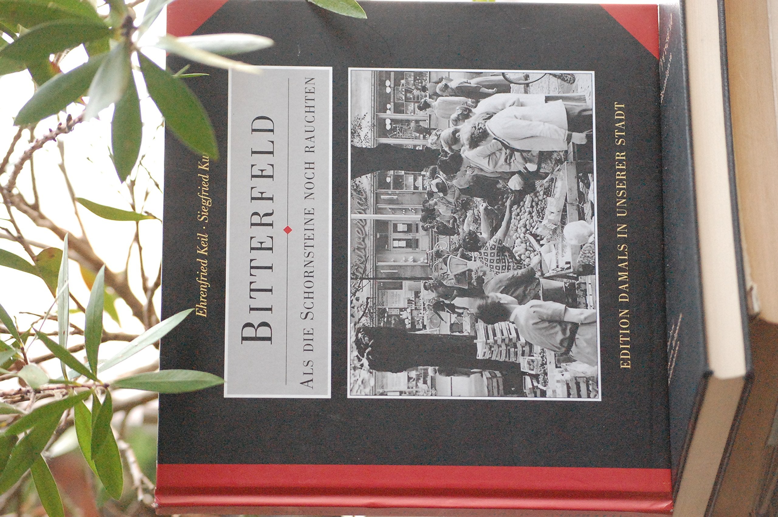 Bitterfeld - Als die Schornsteine noch rauchten: Fotodokumente aus den Jahren 1949-1989 German history