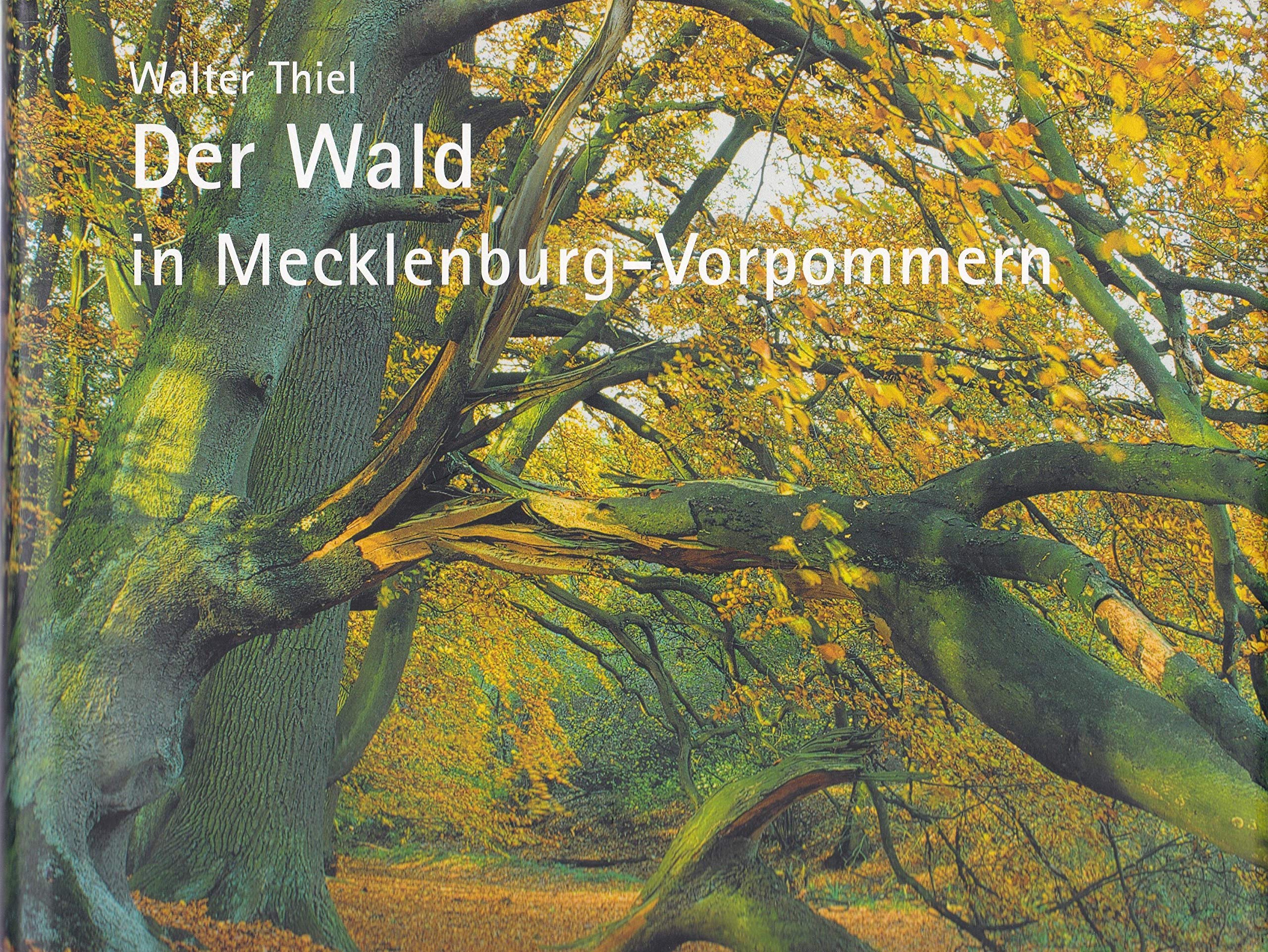 Der Wald in Mecklenburg-Vorpommern Garden & Plants
