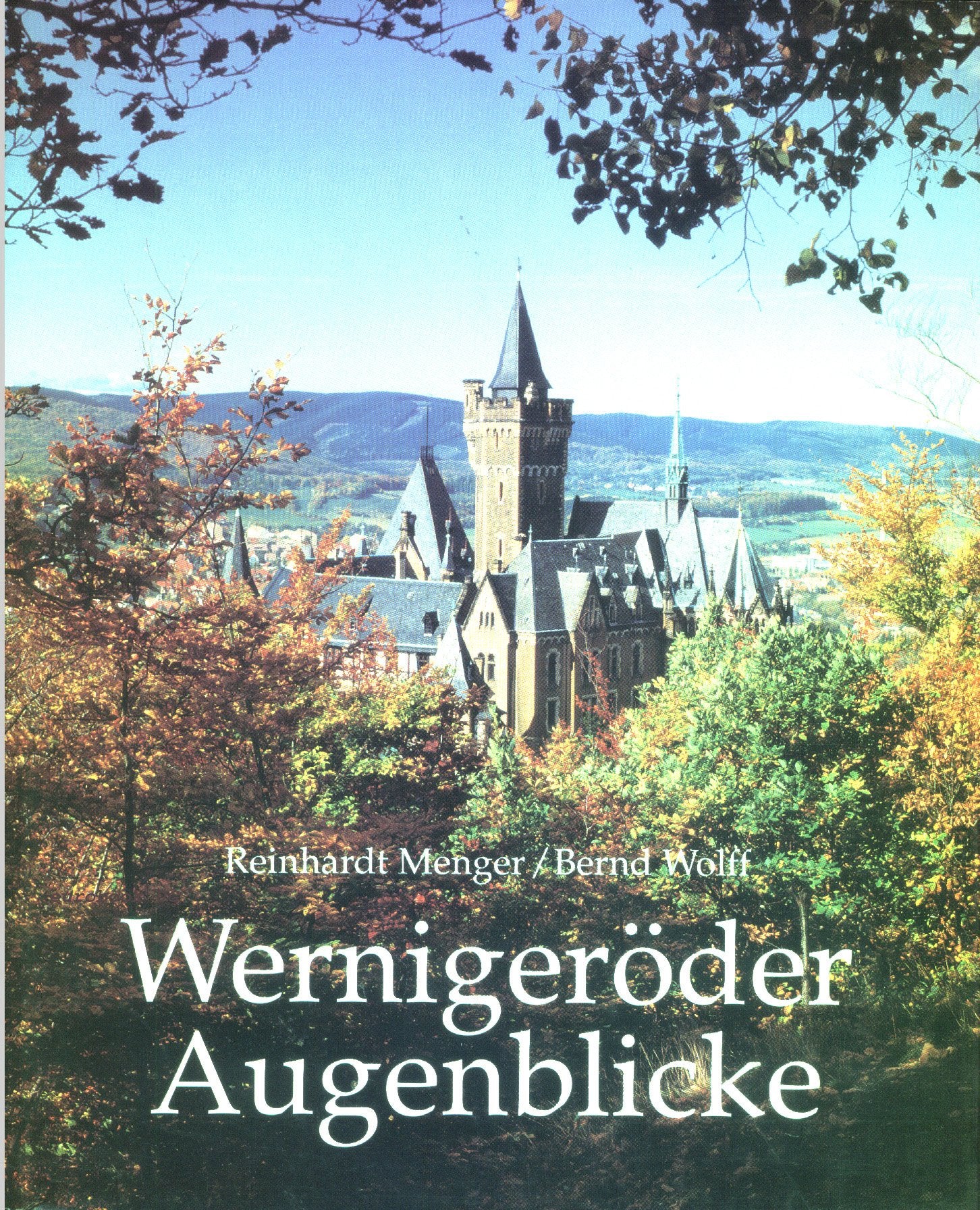Wernigeröder Augenblicke: Jahresringe einer Altstadt Film, Art & Culture