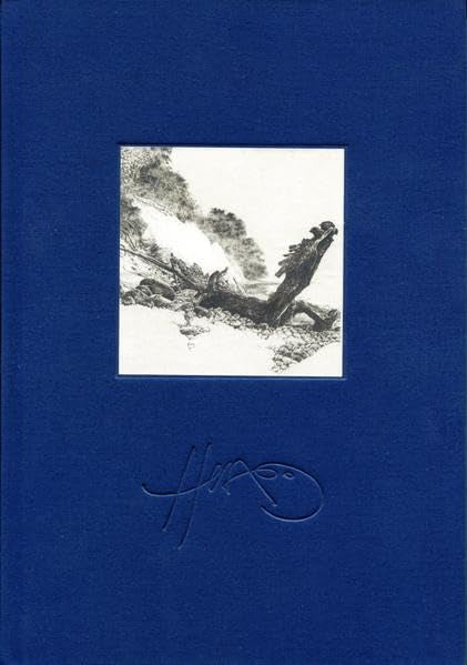 Walter Herzog, Landschaft & Gestalt: Werkverzeichnis der Radierungen 2002 bis 2008 und ausgewählte Zeichnungen Film, Art & Culture