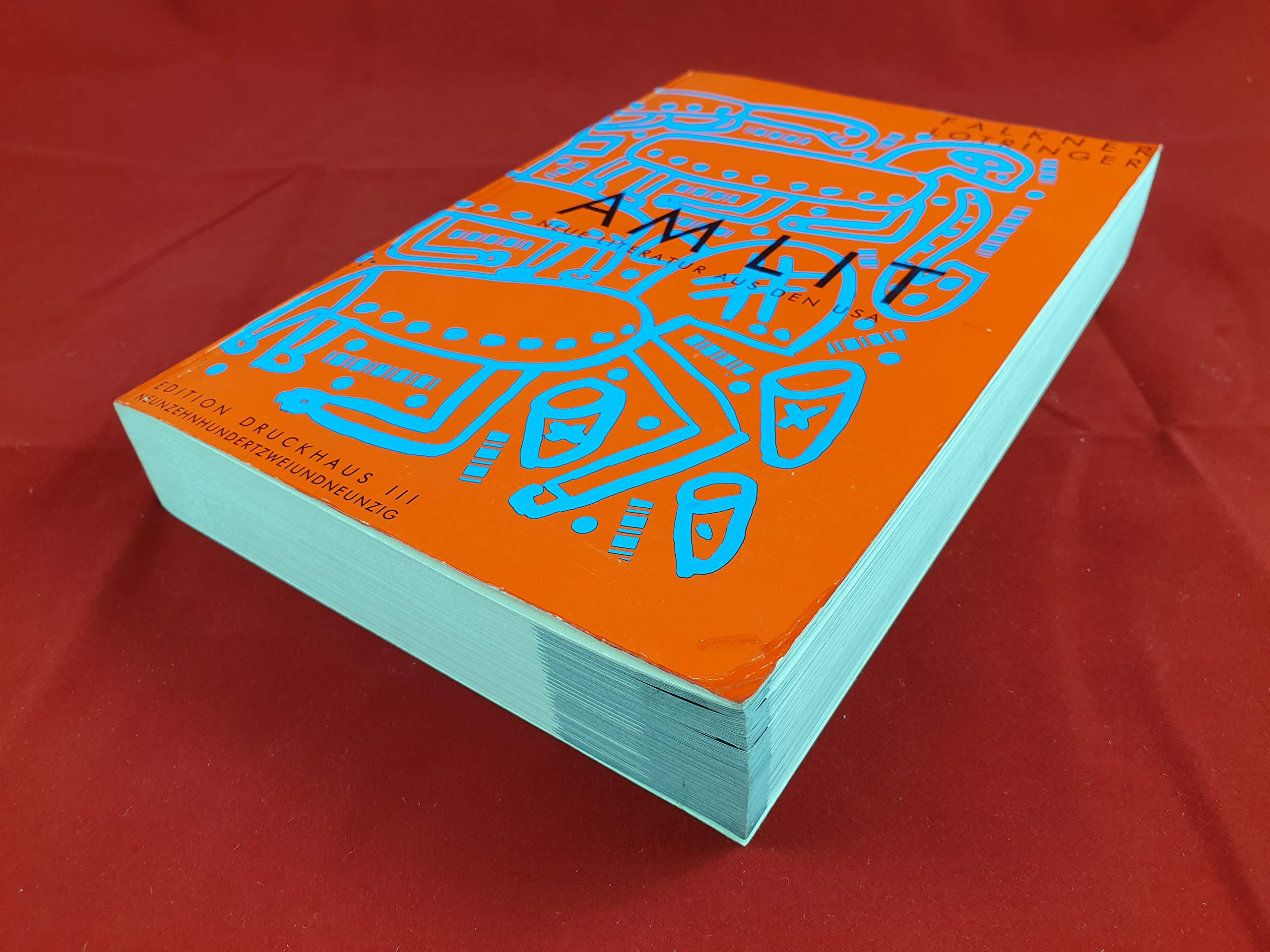 AM LIT: Anthologie: Neue Literatur aus den USA (Edition Druckhaus) Contemporary literature