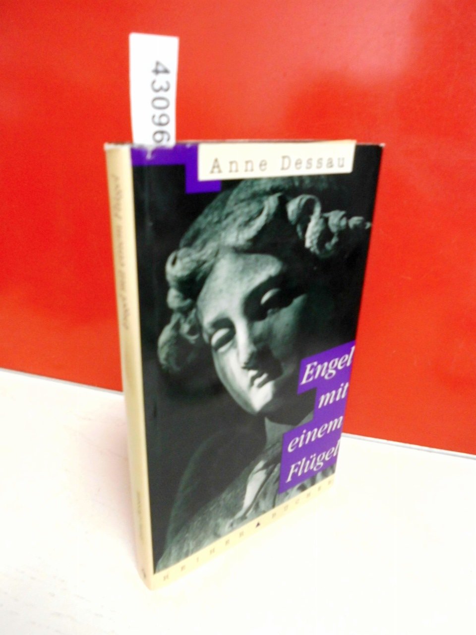 Engel mit einem Flügel Books
