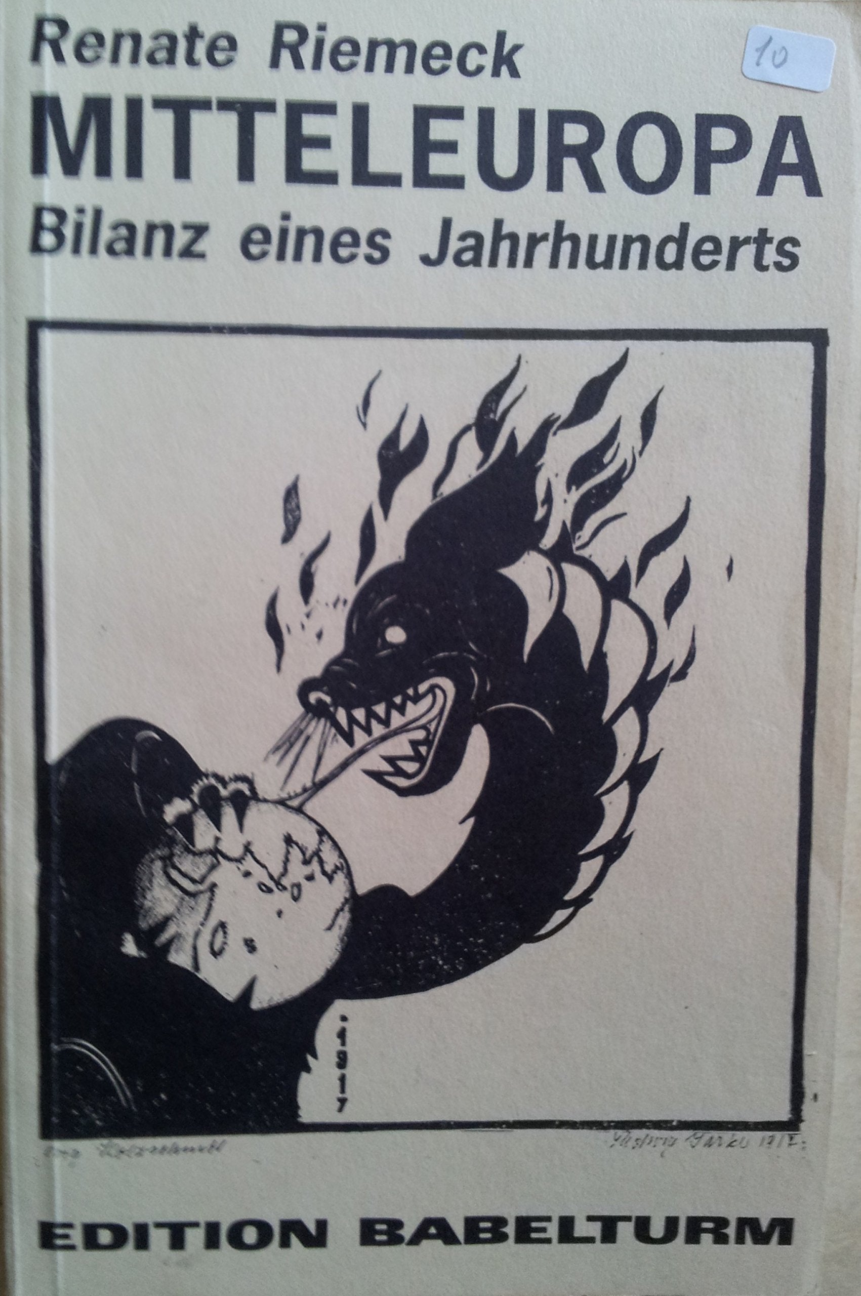 Mitteleuropa. Bilanz eines Jahrhunderts Politics & History