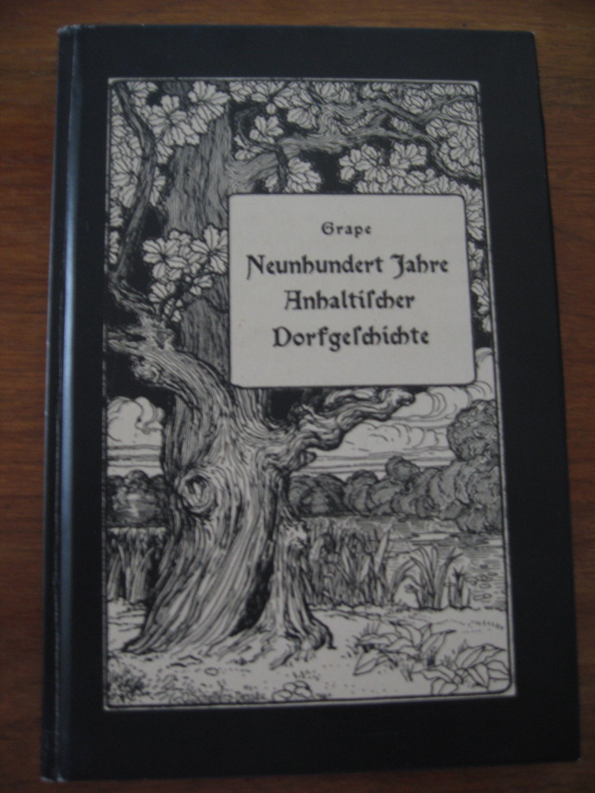 Neunhundert Jahre Anhaltischer Dorfgeschichte: Bilder aus der Vergangenheit von Großkühnau und Ziebigk Books