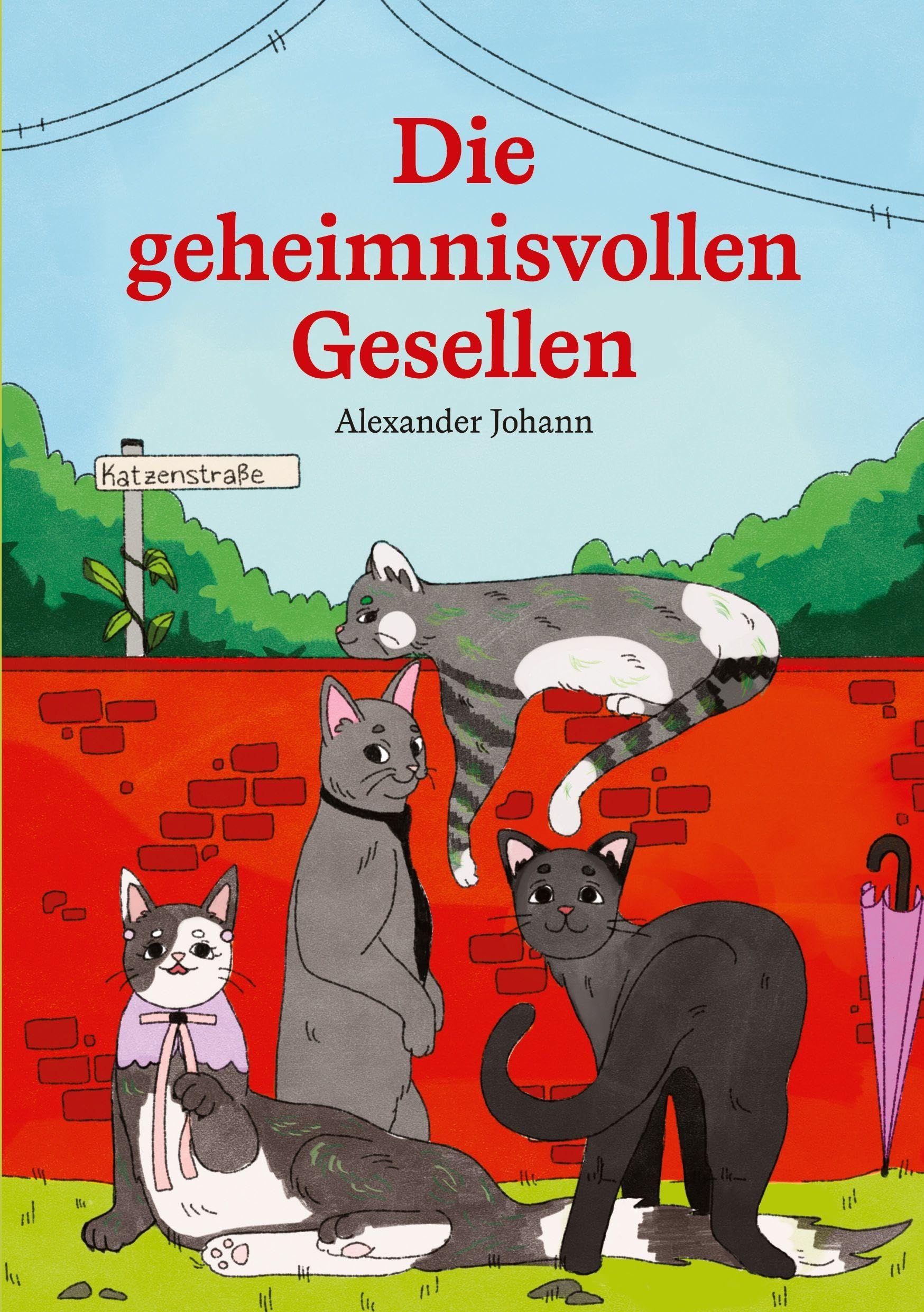 Die geheimnisvollen Gesellen Children's books