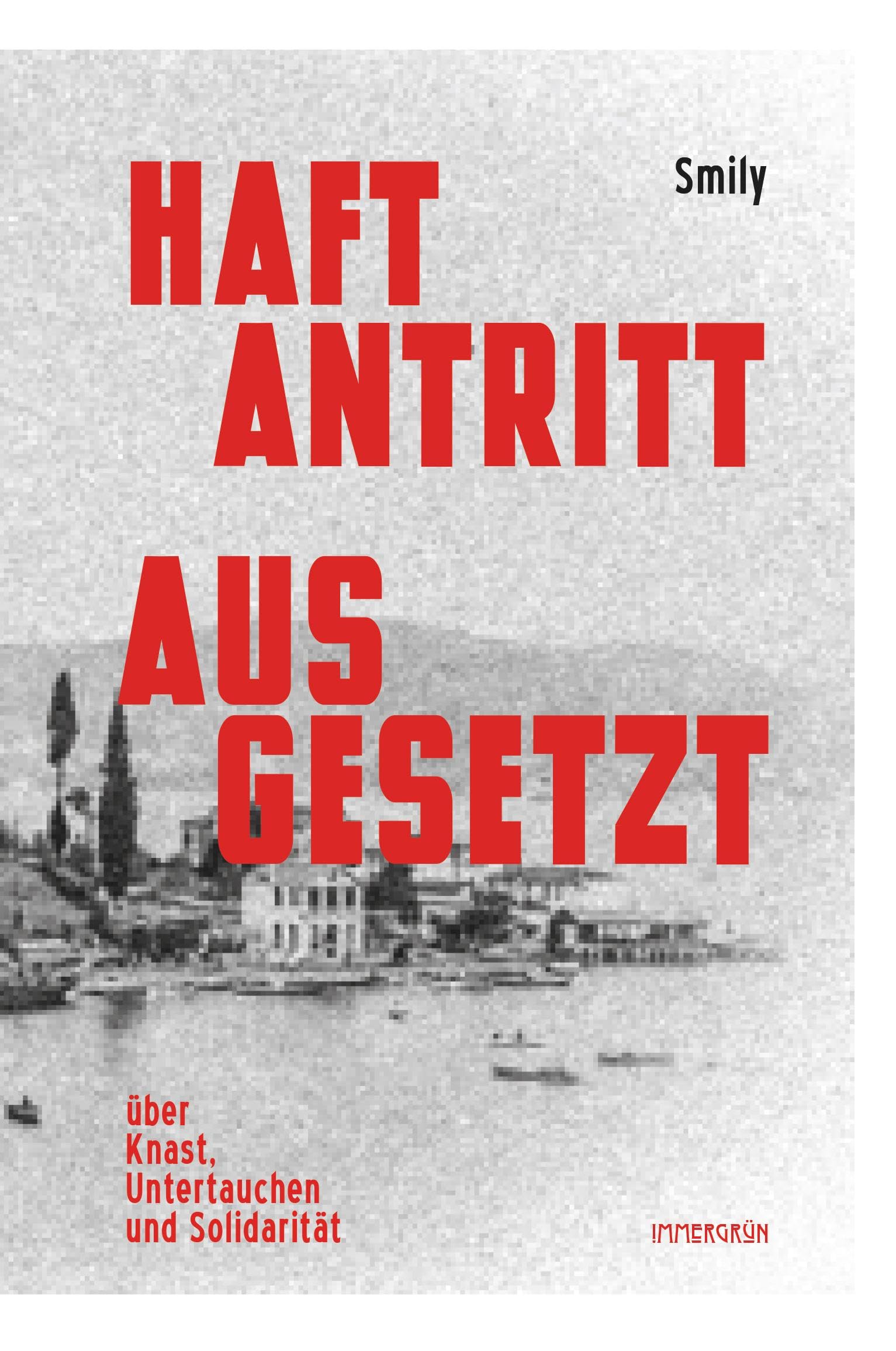 Haftantritt ausgesetzt: Über Knast, Untertauchen und Solidarität Books