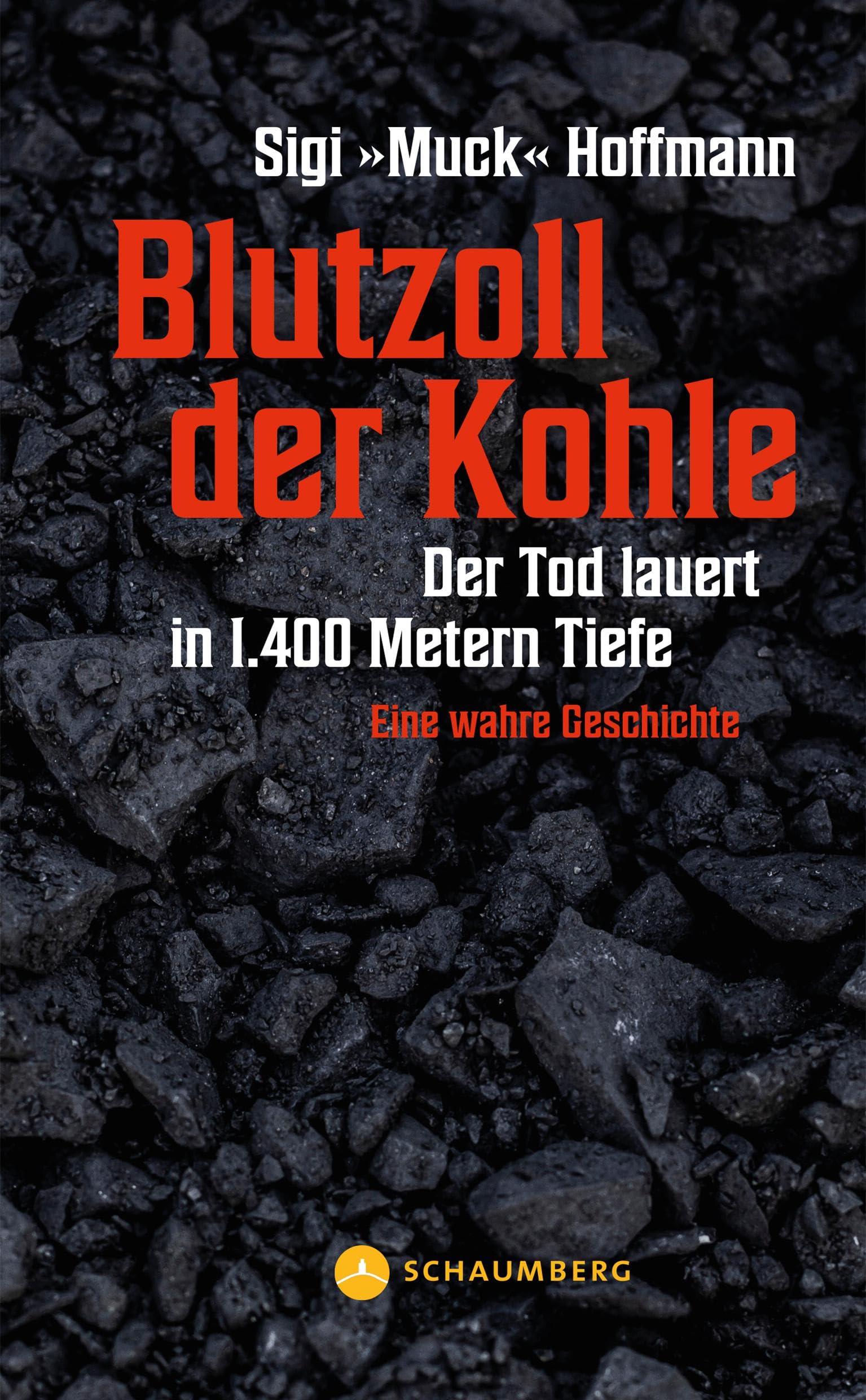 Blutzoll der Kohle Contemporary literature Books