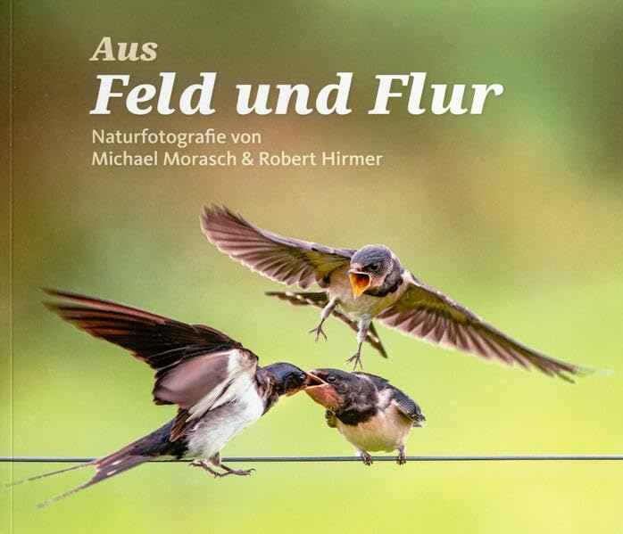 Aus Feld und Flur: Naturfotografie von Michael Morasch und Robert Hirmer Film, Art & Culture