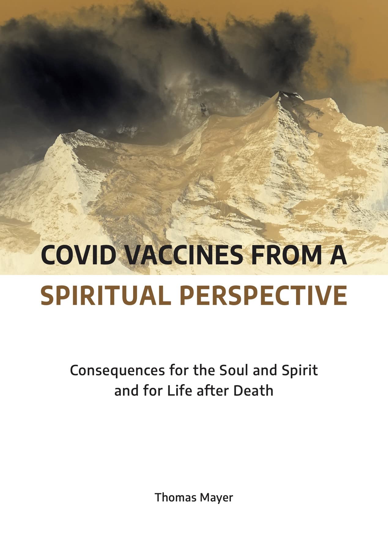 Covid Vaccines from a Spiritual Perspective: Consequences for the Soul and Spirit and for Life after Death book