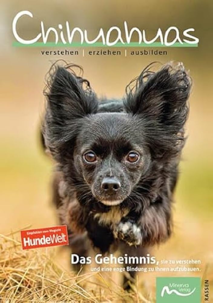Chihuahuas: verstehen | erziehen | ausbilden Pets