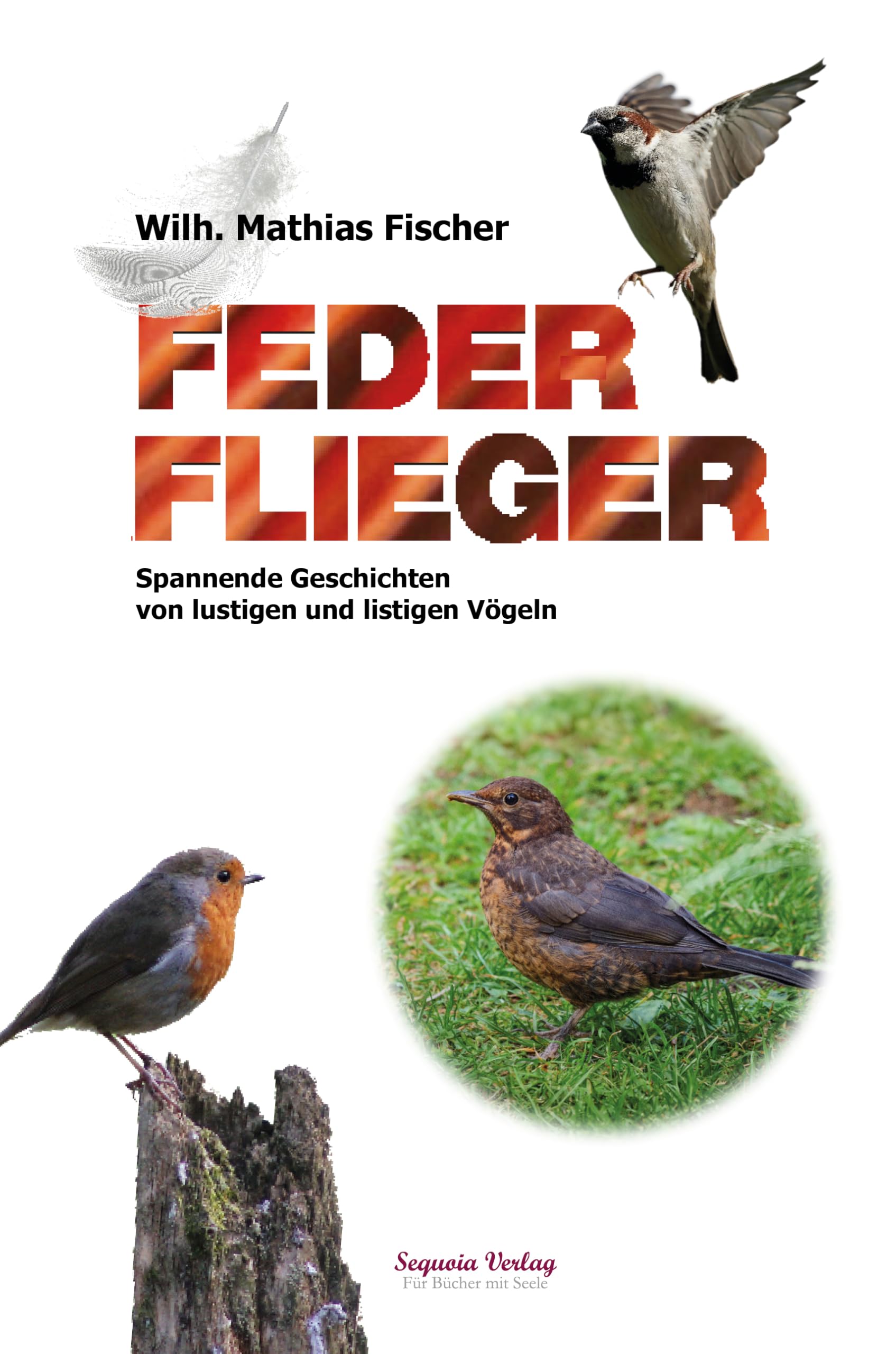 FederFlieger: Spannende Geschichten von lustigen und listigen Vögeln Fairy Tales & Legends