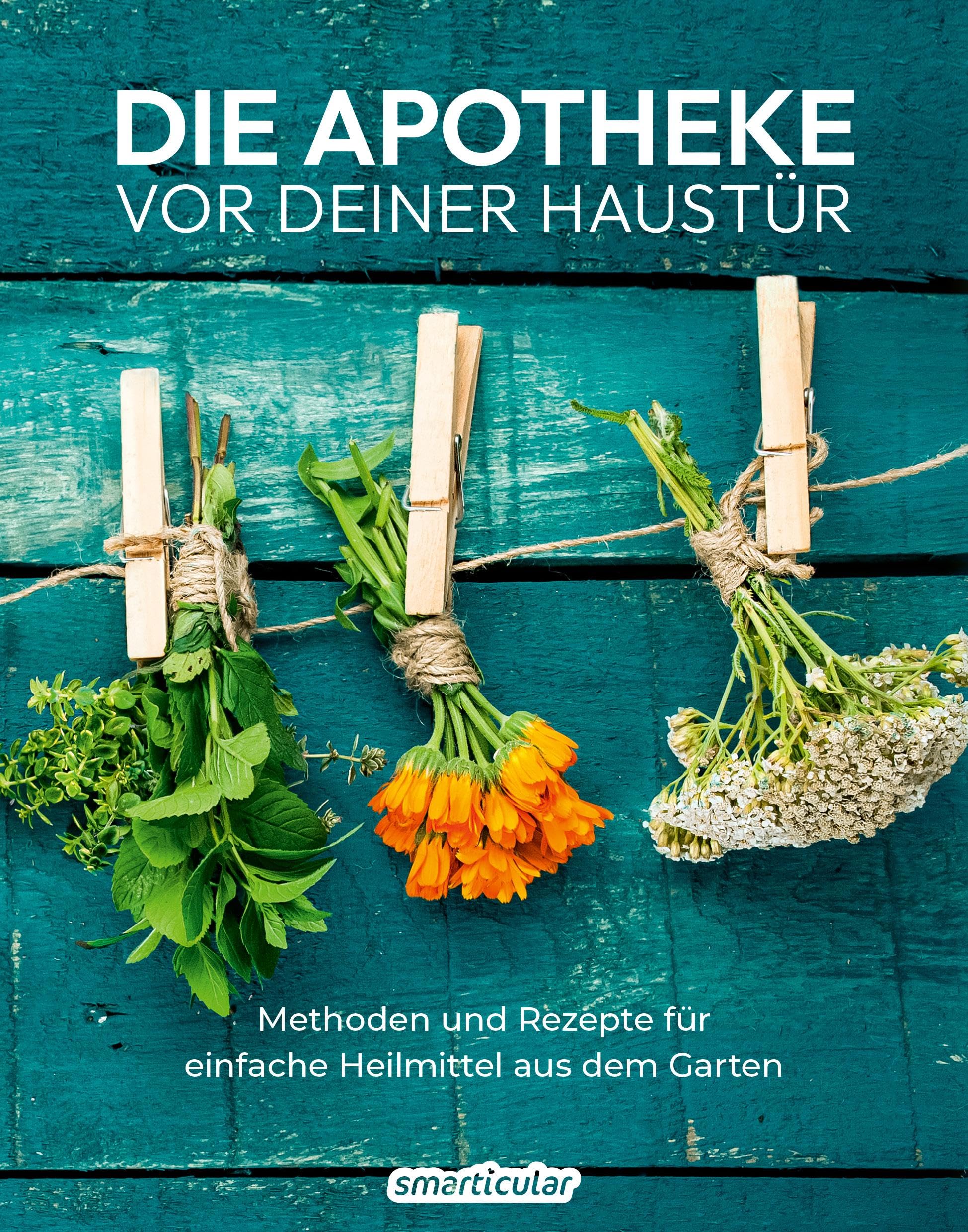 Die Apotheke vor deiner Haustür: Methoden und Rezepte für einfache Heilmittel aus dem Garten (Kostbare Natur) Leisure, Home & Garden