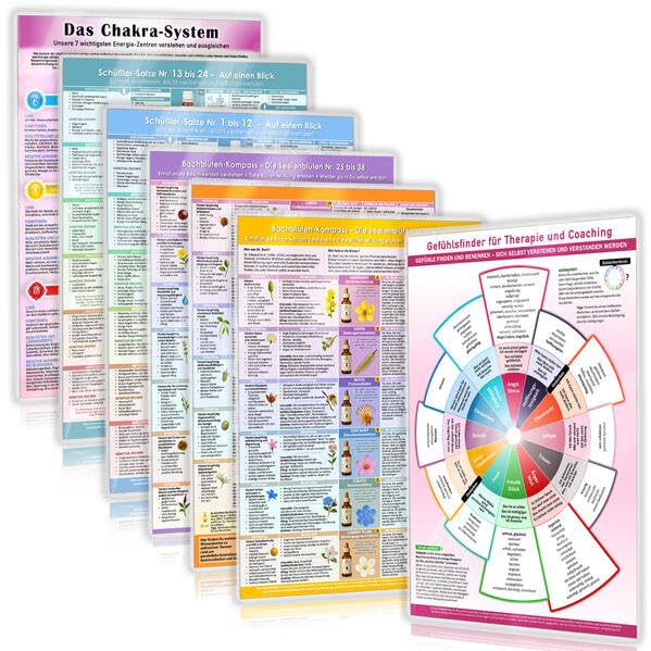 Seelenapotheke für emotionale Heilung: Das Selbstheilungs-Set mit Bachblüten, Schüßlersalzen, Chakra-Wissen & Gefühlsfinder | Gefühle ... & ... & Seele im Gleichgewicht (DINA 4, laminiert) Health, Nutrition & Fitness