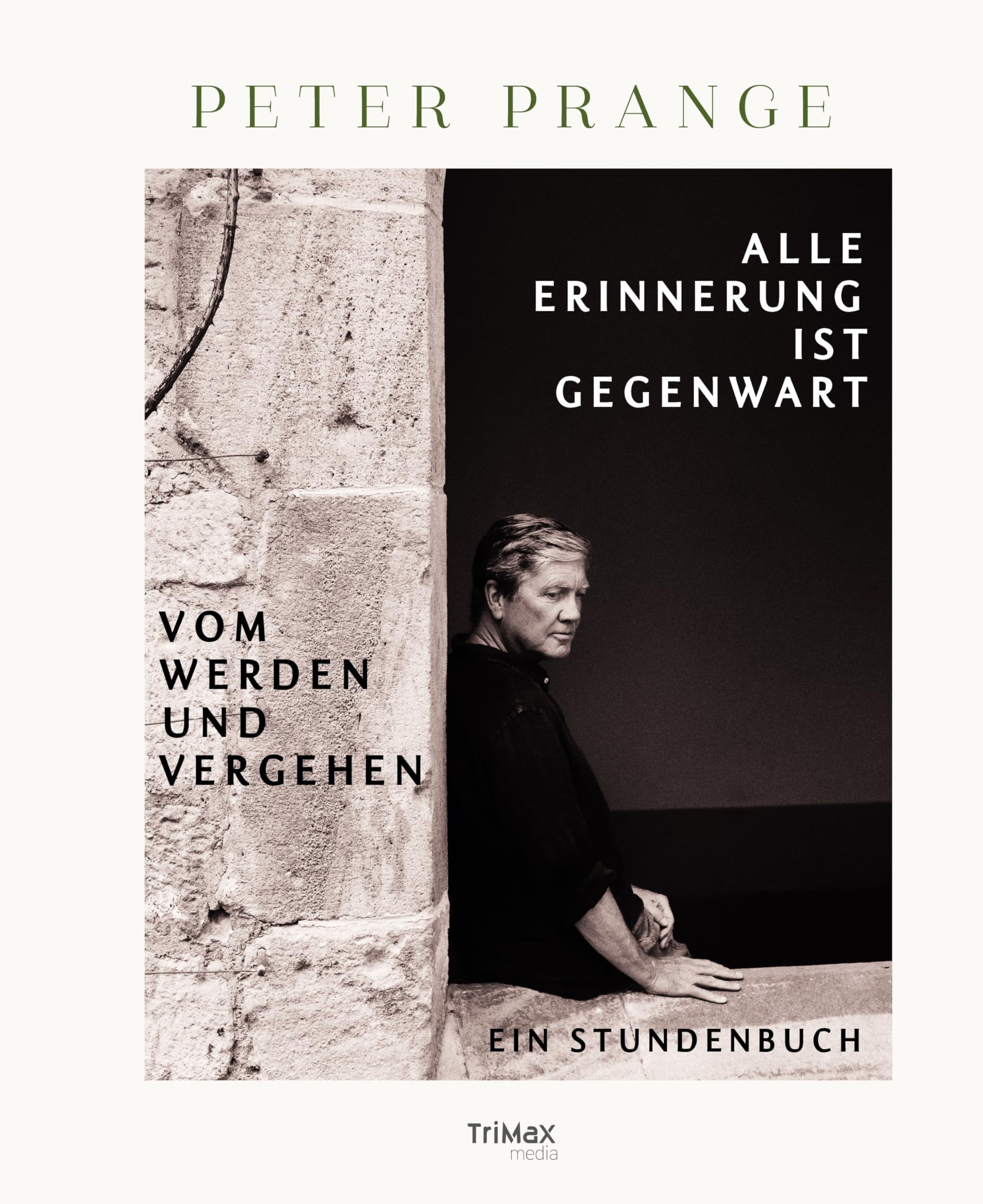 Alle Erinnerung ist Gegenwart - Vom Werden und Vergehen: Ein Stundenbuch Contemporary literature