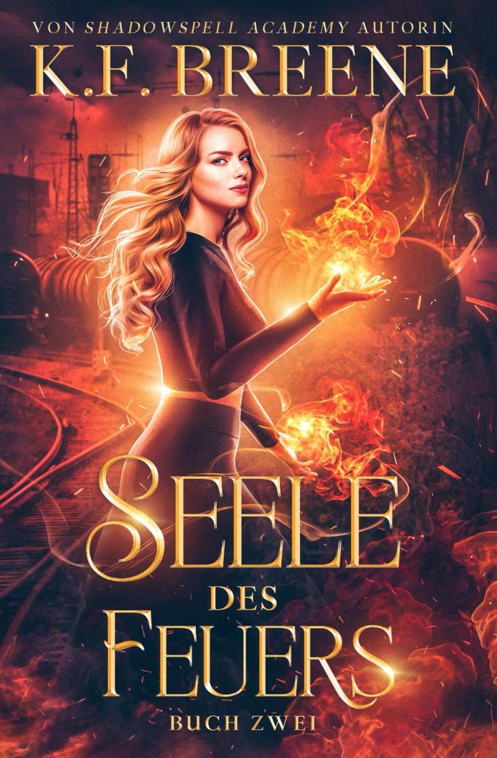 Seele des Feuers (Magische Gemeinschaft, Band 2) Vampires & Bit-Lit