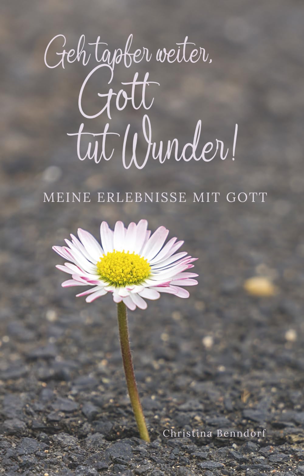 Geh tapfer weiter, Gott tut Wunder!: Meine Erlebnisse mit Gott Contemporary literature
