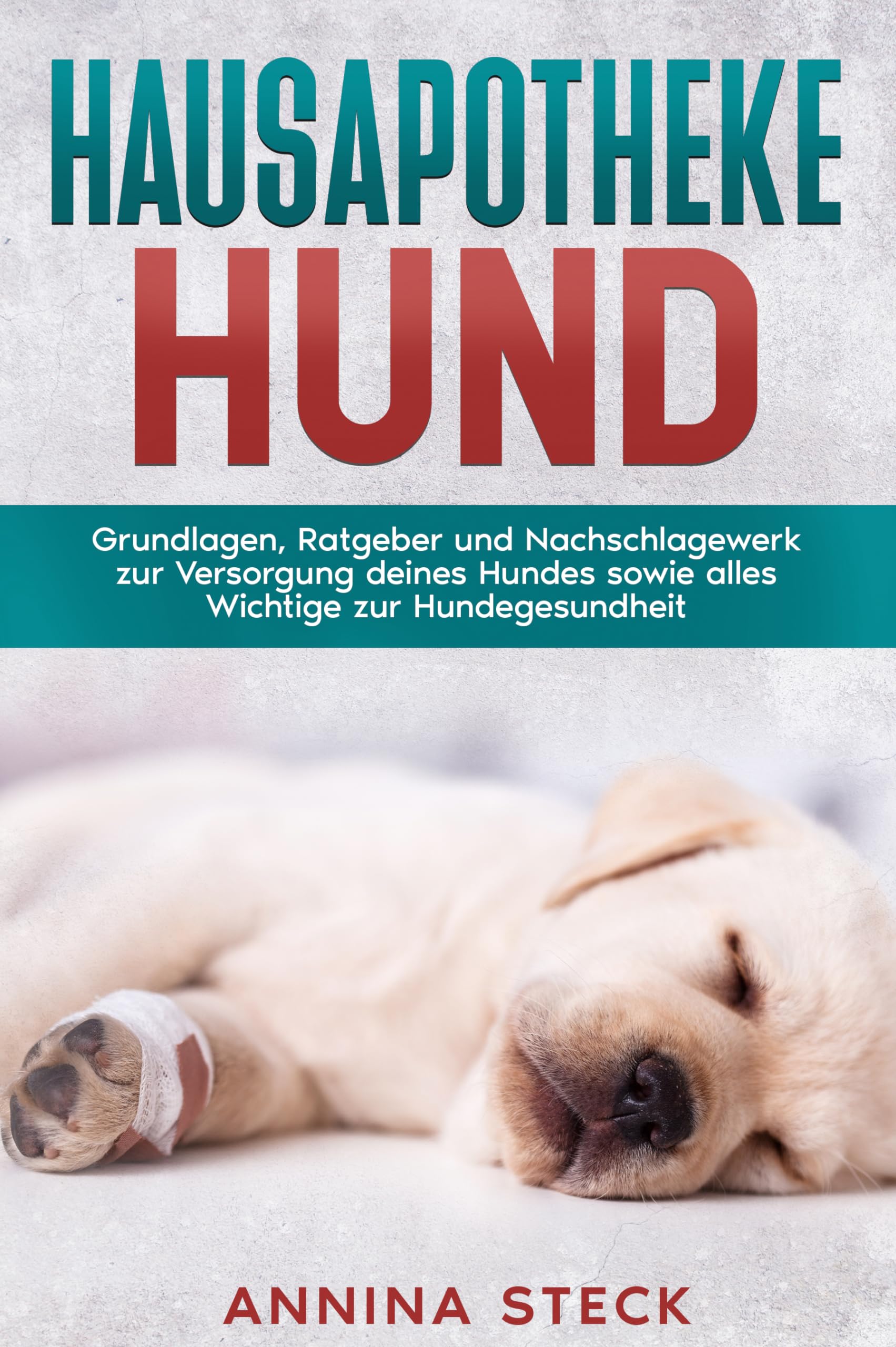 Hausapotheke Hund Grundlagen, Ratgeber und Nachschlagewerk zur Versorgung deines Hundes sowie alles Wichtige zur Hundegesundheit book