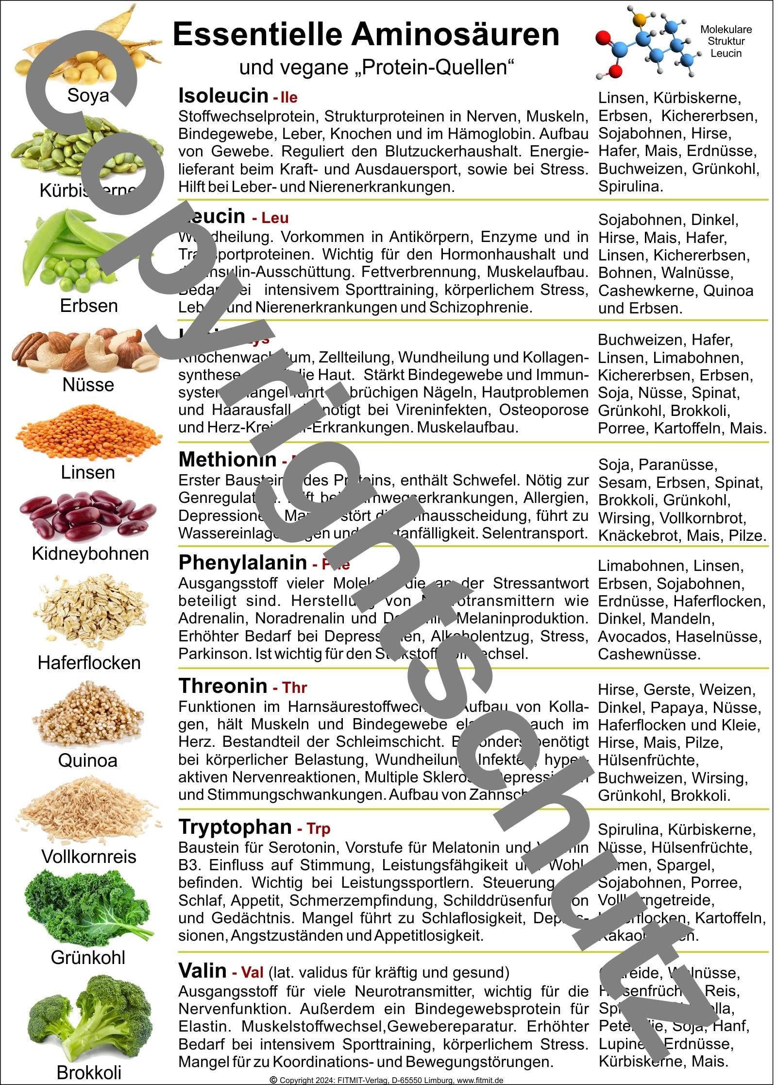 Aminosäuren und vegane Quellen: Übersichtskarte DIN A3 (Lehrtafeln: Übersichtskarten) Medicine