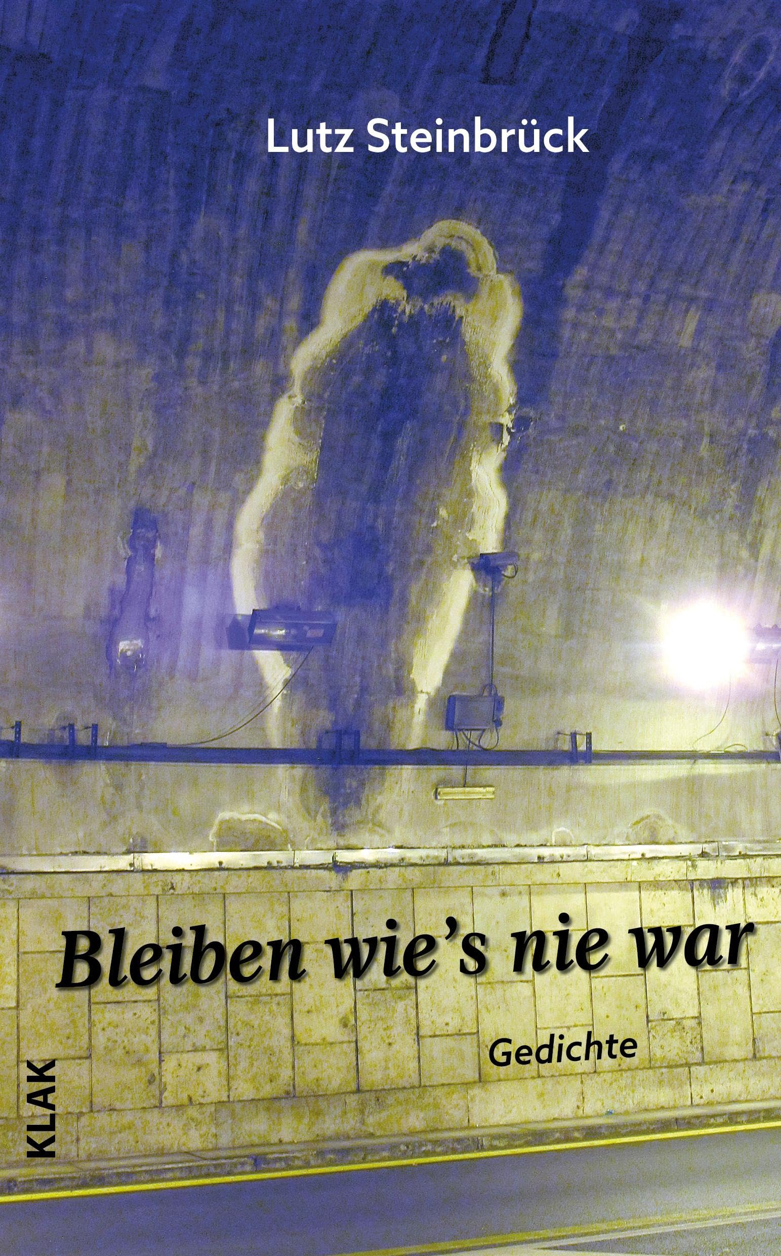 Bleiben wie’s nie war: Gedichte Poetry