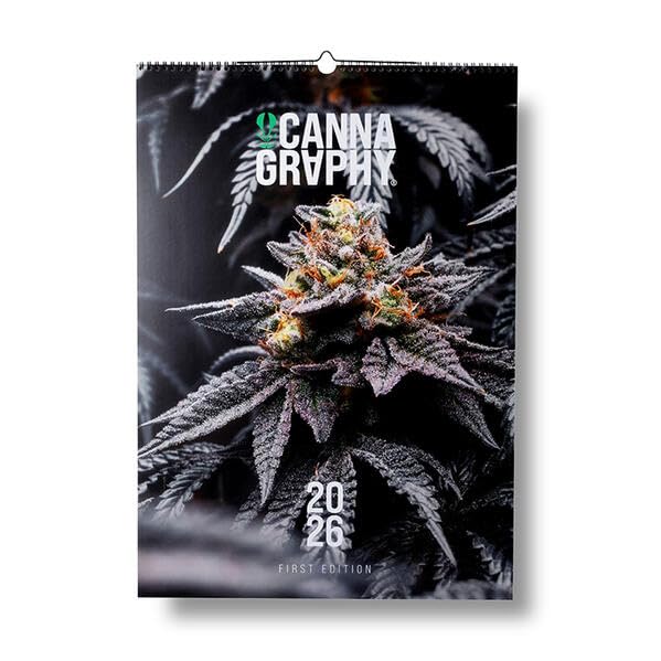Cannagraphy® Kalender 2026 DIN A3: Hochwertige Studioaufnahmen von Cannabispflanzen Photography