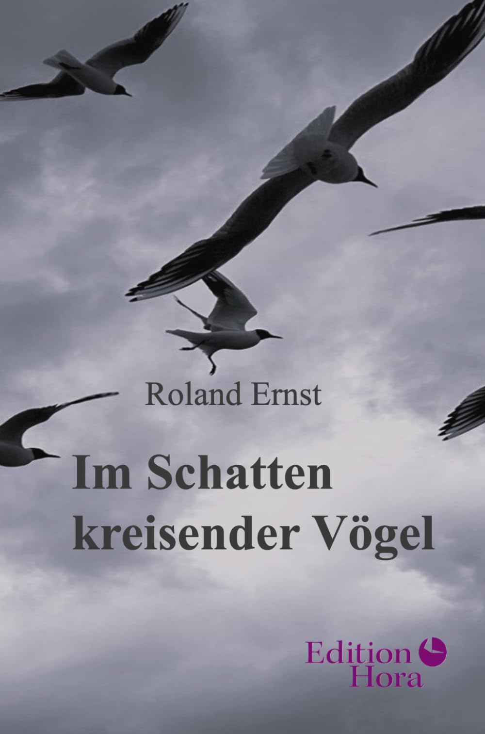 Im Schatten kreisender Vögel: Short Stories Essays & Short Stories