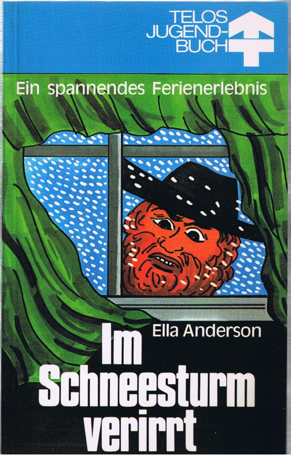 Im Schneesturm verirrt.Ein spannendes Ferienerlebnis Books