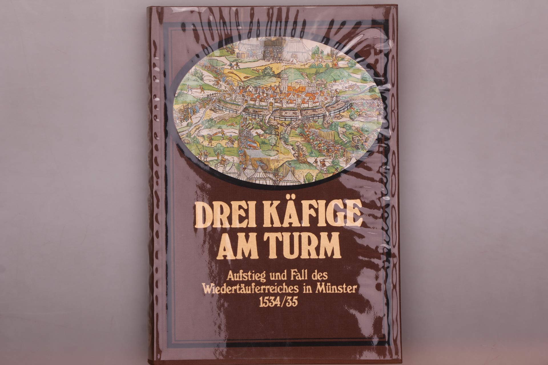 Drei Käfige am Turm: Aufstieg und Fall des Wiedertäuferreiches in Münster 1534/35 Books