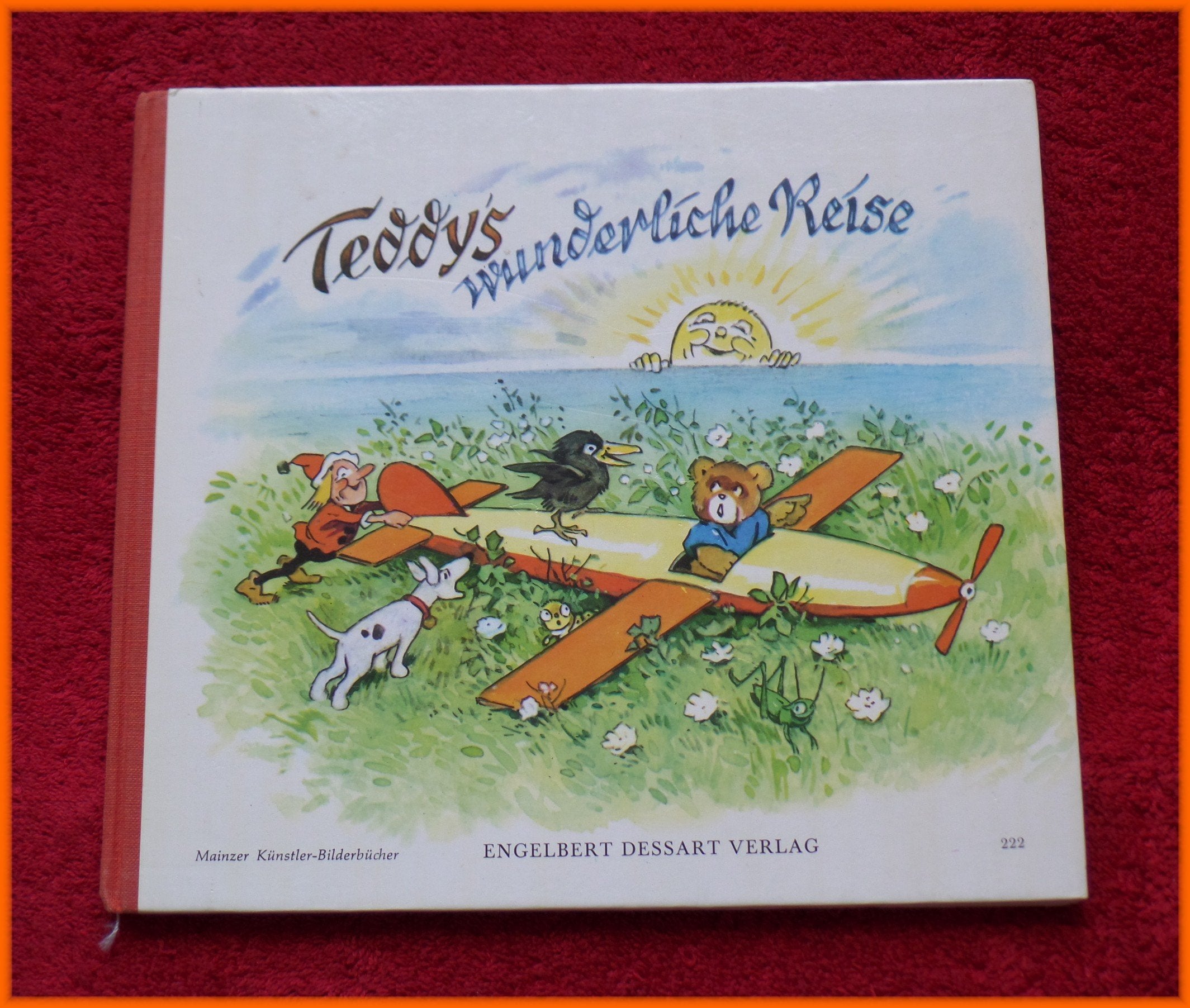 Teddys wunderliche Reise Children's books