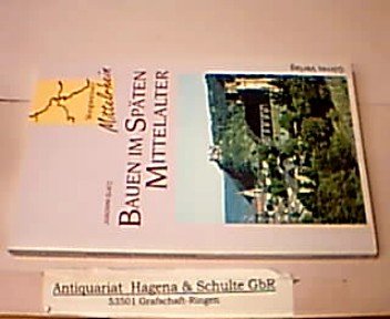 Bauen im Späten Mittelalter Film, Art & Culture