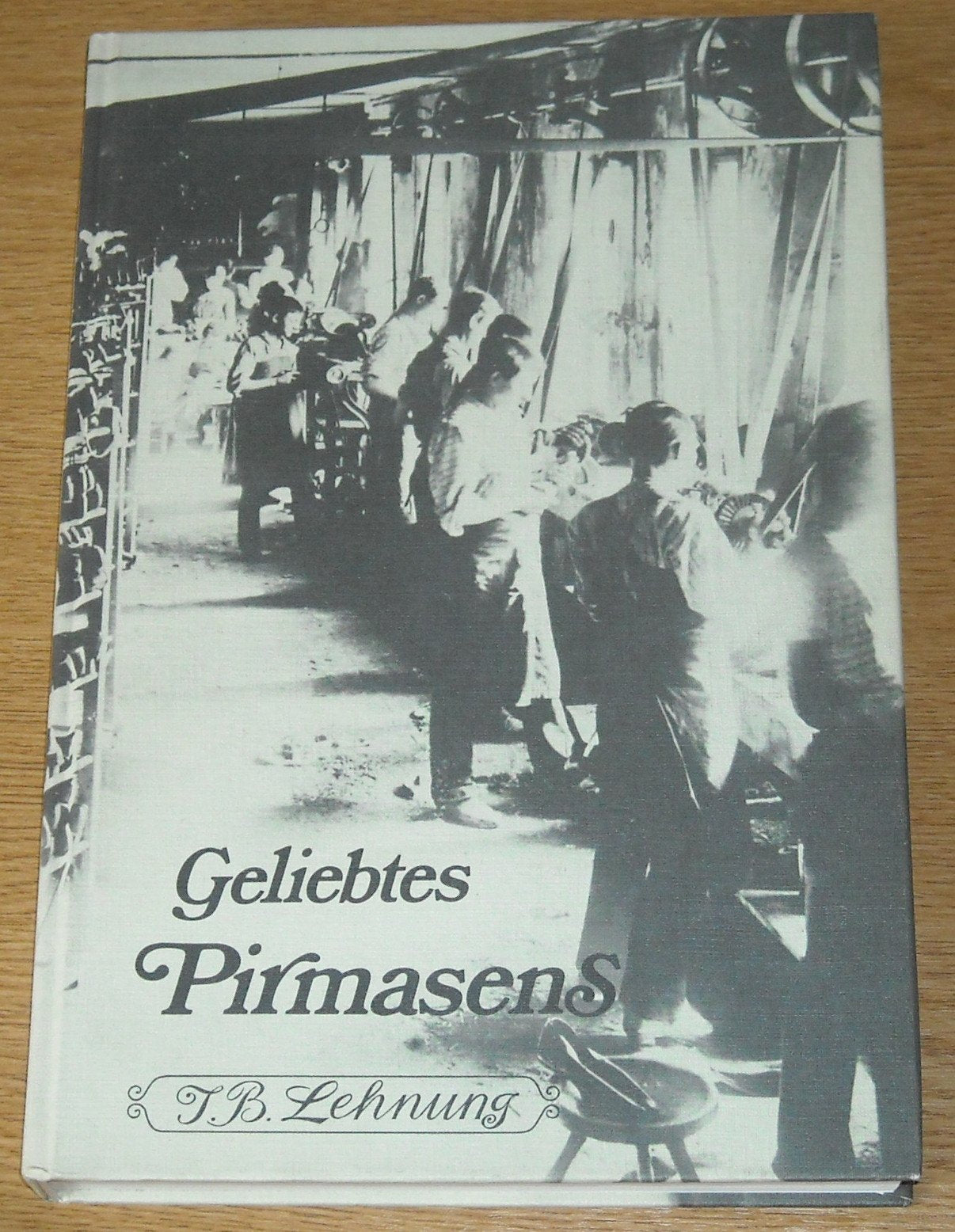 Geliebtes Pirmasens. Heimatgeschichtliche Erinnerungen: 1890-1900 Books