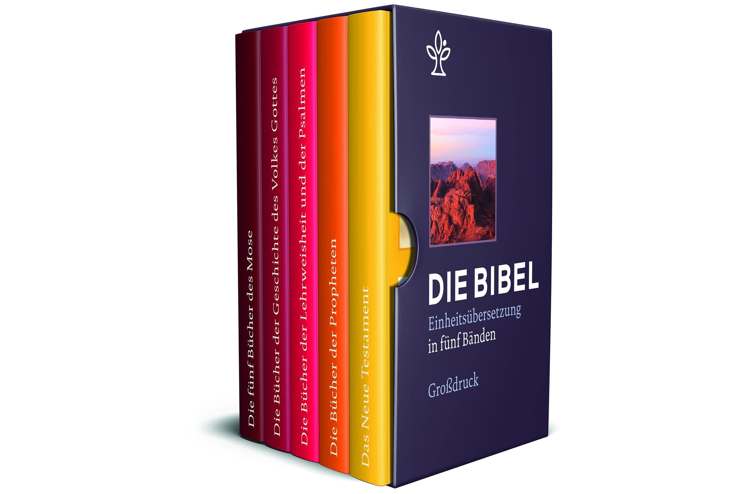 Bibel in 5 Einzelbüchern in Geschenkkassette, Großdruck Religion & Esotericism