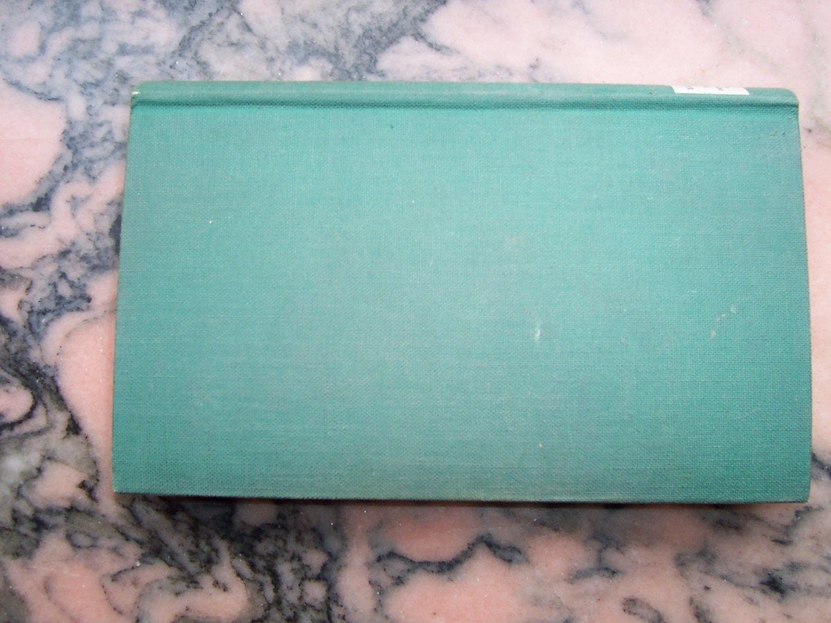 Meine 365 Liebhaber Books